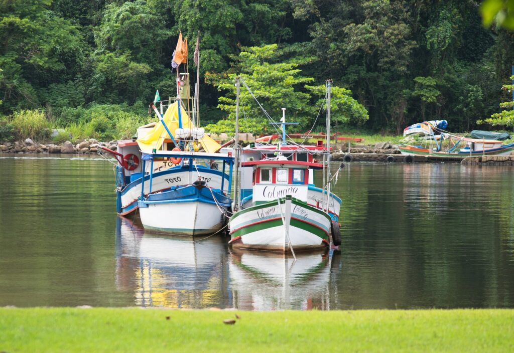 boats, grass, green-2671459.jpg