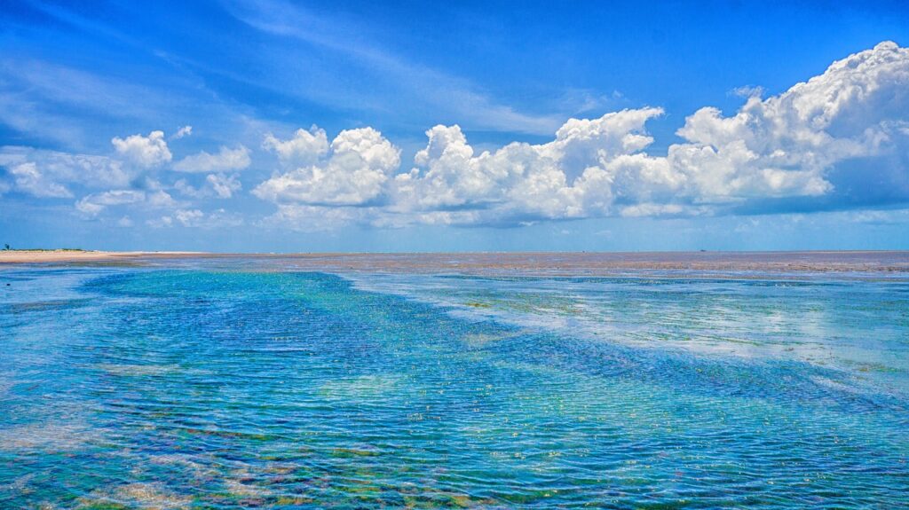 sea, beach, coast-2068423.jpg